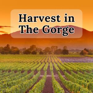 Harvest In The Gorge