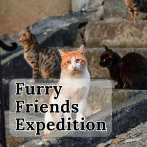 Furry Friends Expedition