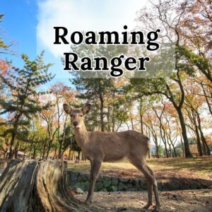 Roaming Ranger